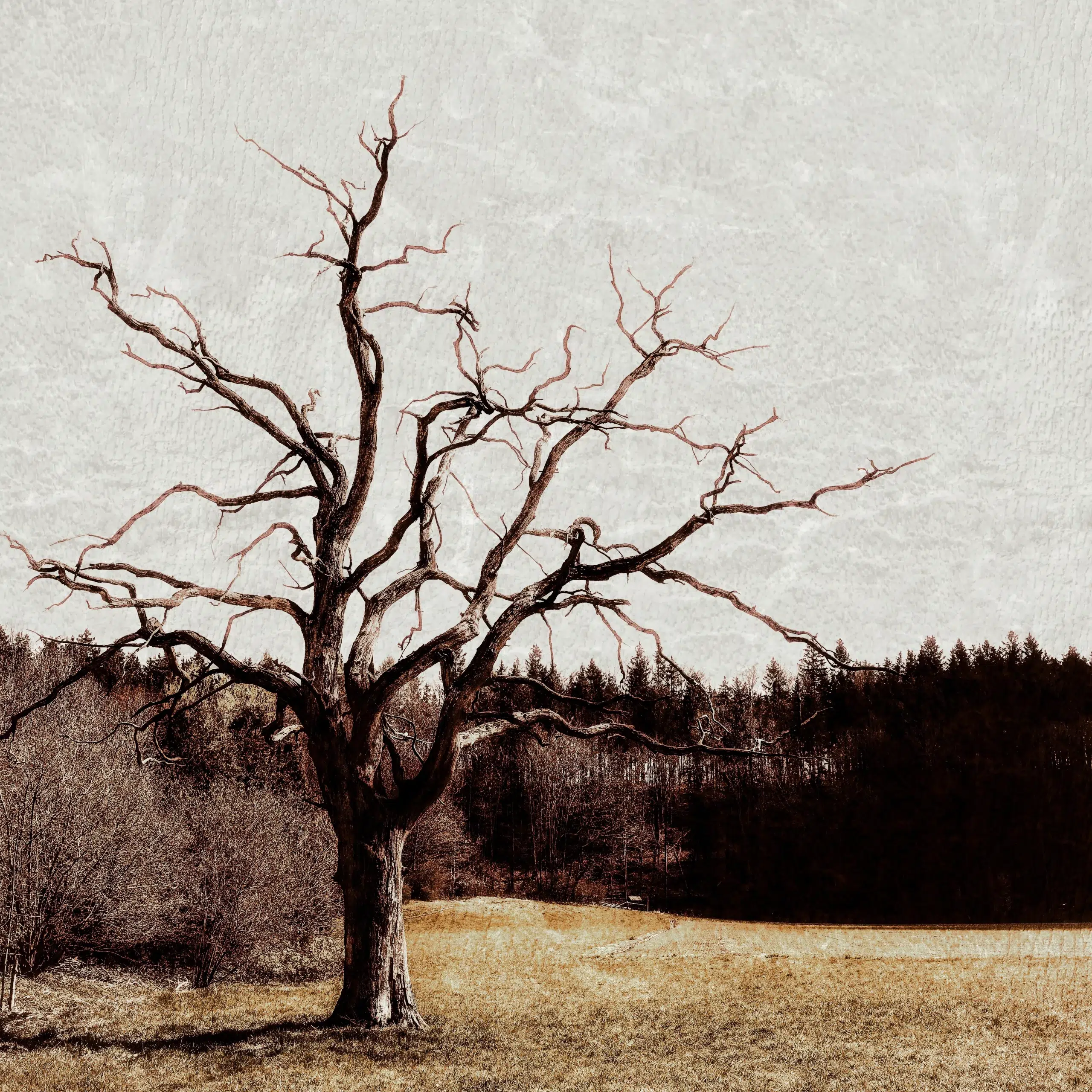 entités - désenvoutement